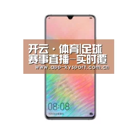华为HUAWEI NOTE 8