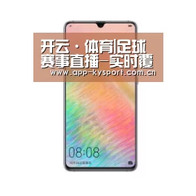 华为HUAWEI NOTE 8