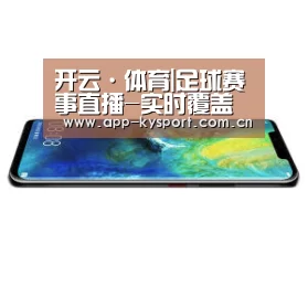 华为无线快充手机