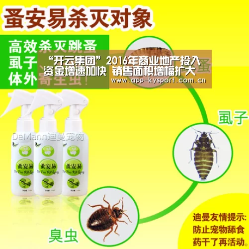 开云集团